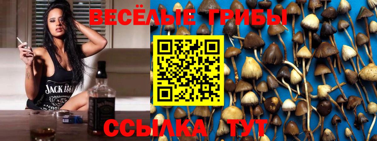 Псилоцибиновые грибы Cubensis  Вход с VPN  Хабаровск 